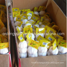 Carton Packing Chinese Fresh White Garlic